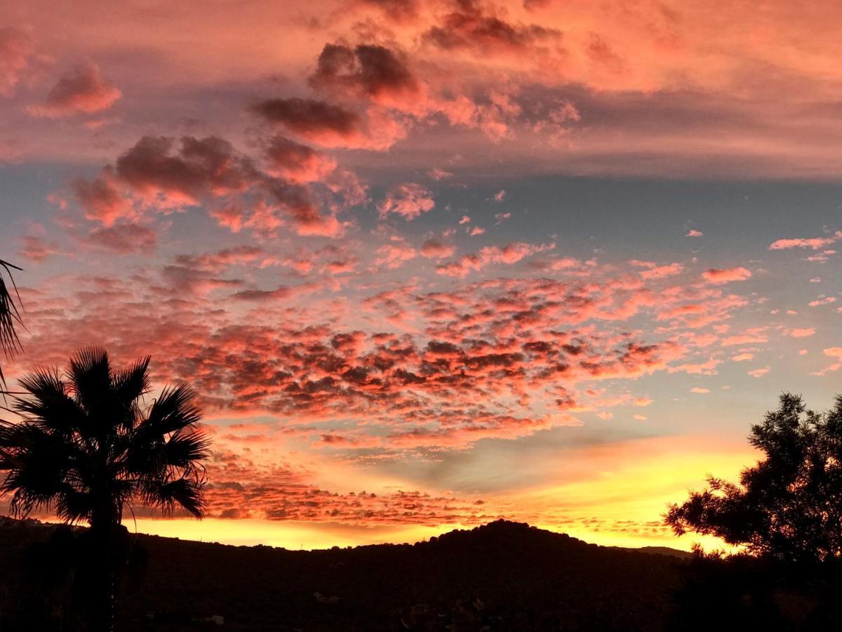 Viñuela Casa Nuestro Sueno Bed & Breakfast エクステリア 写真